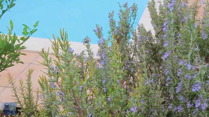 A vendre villa traditionnelle Le Luc en Provence