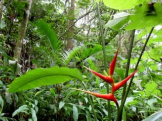 EZEQUIEL  CAP 28  - A BIBLIA NA LINGUAGEM DE HOJE