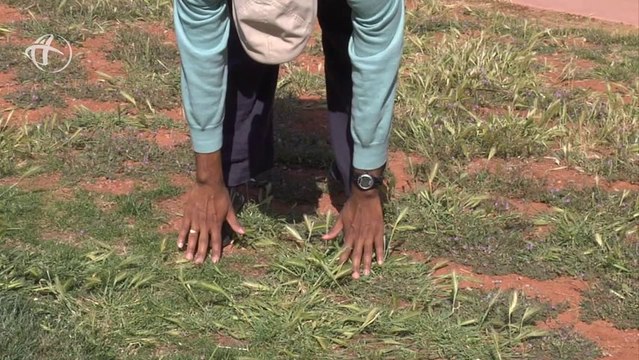 Dahn Yoga_ Lung Exercises for Seasonal Allergies