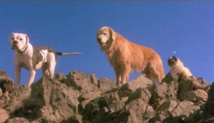 Homeward Bound The Incredible Journey (1993) Full Movie Part 1