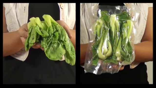 Máy hút chân không DZ-300A - sieuthitaigia.vn