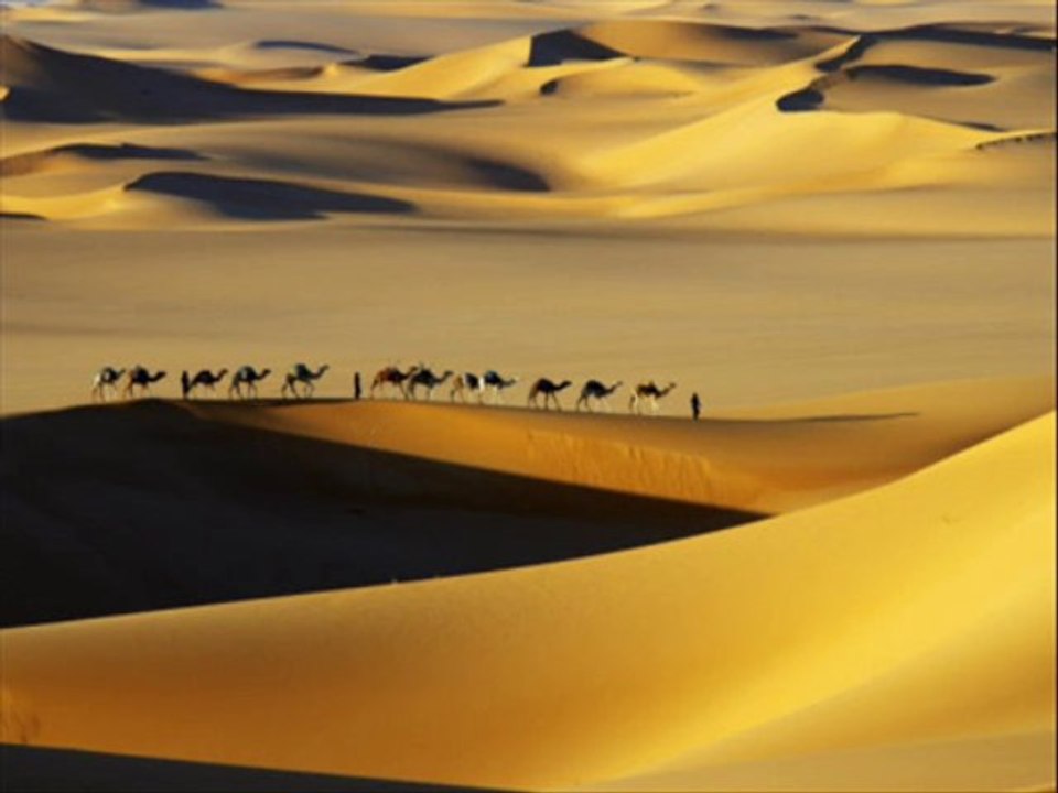 Nomads by The Electric Trunk