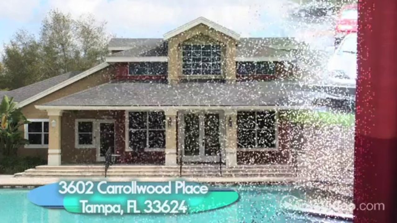 Sabal Palm at Carrollwood Place Apartments in Tampa, FL - ForRent.com