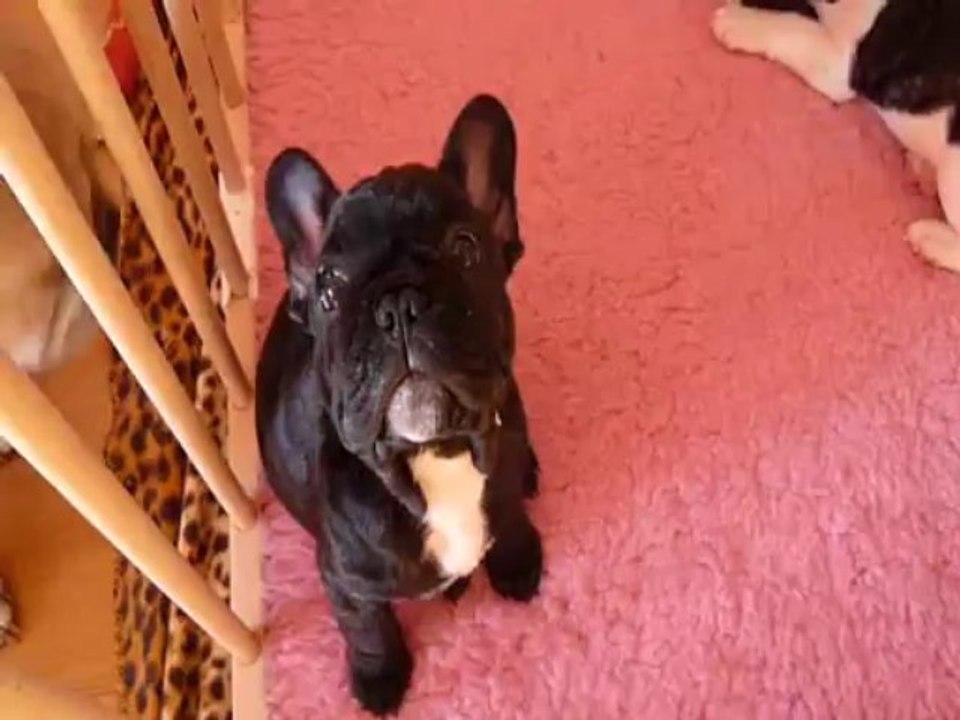 Gi'King   16 février 2012 P1020100