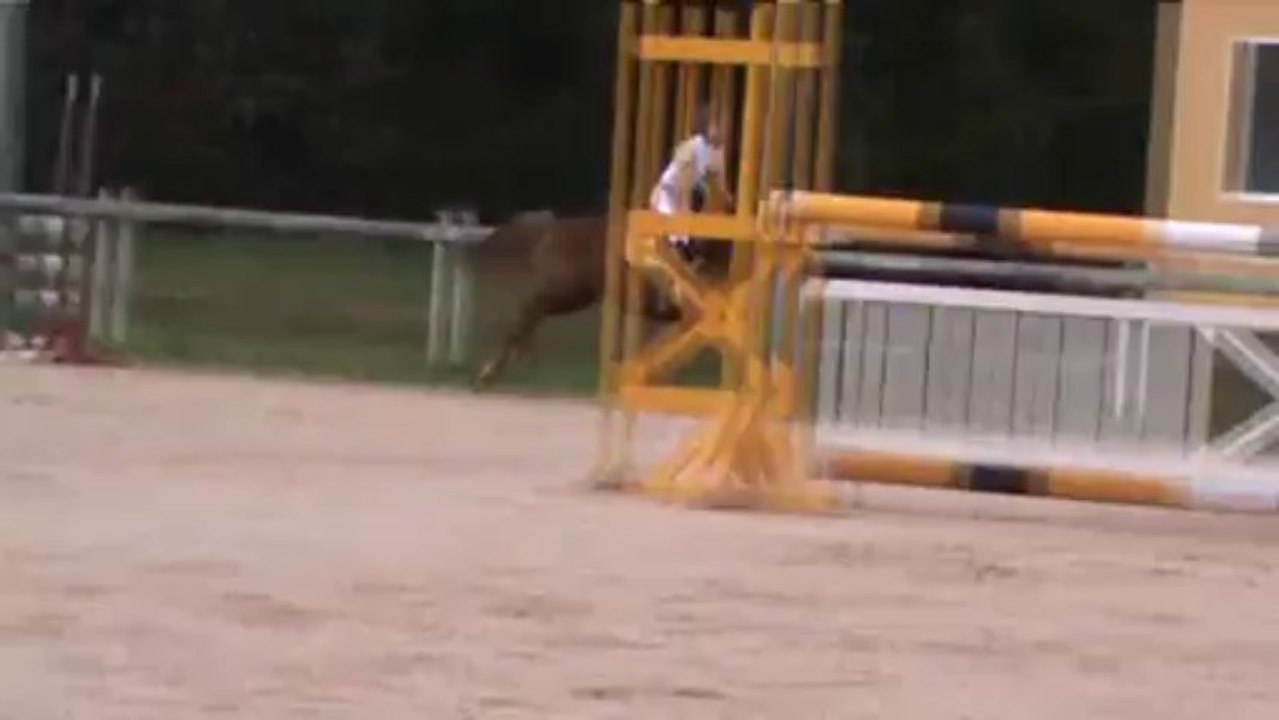 As poney 2 Rickie et Lison