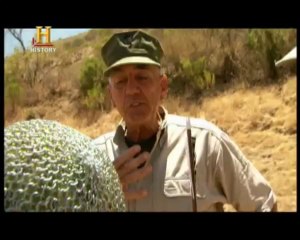 Tarihi silahlar belgeseli  1