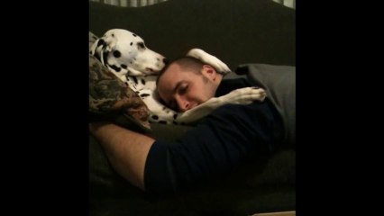 Le meilleur ami de l'homme... C'est le CHIEN....!!!