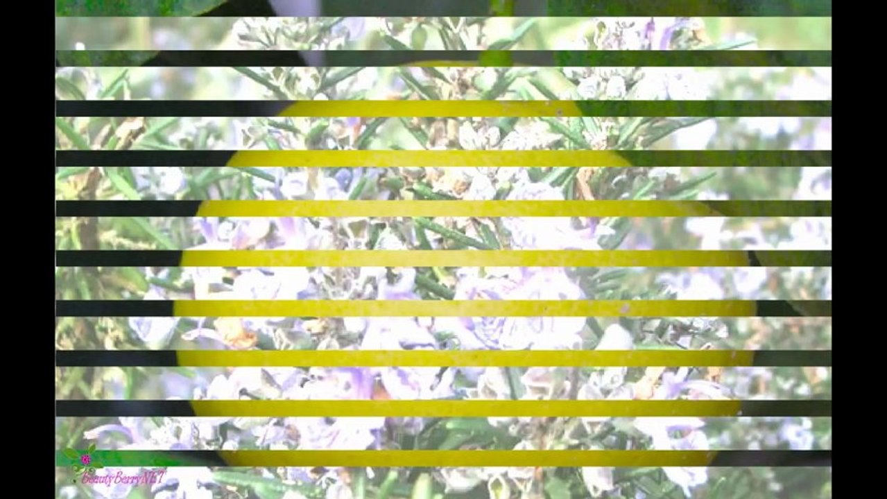 DOLCE and GABBANA Light Blue ტუალეტის წყალი სპრეი მამაკაცებისათვის