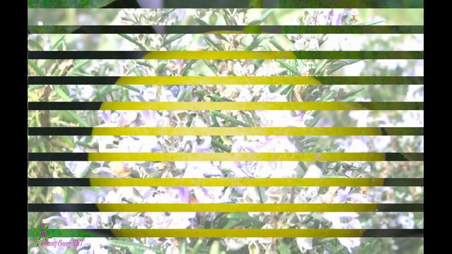 DOLCE and GABBANA Light Blue ტუალეტის წყალი სპრეი მამაკაცებისათვის