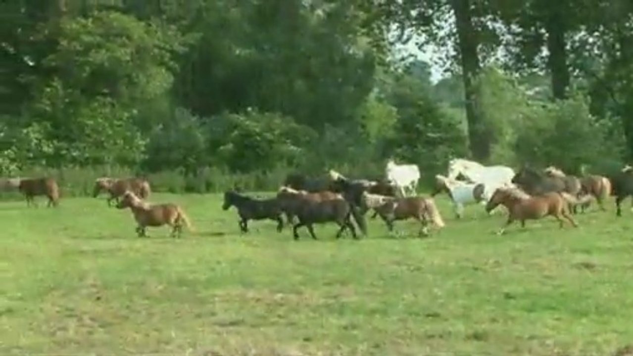 Teaser Poney Club Mesnières en Bray 2013