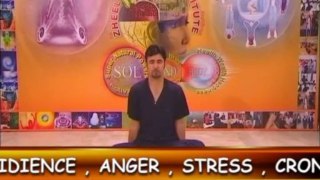 Health, Wealth & Happiness by Dr. Abdul Samad — D. A. Instant Yoga: Program 19 (Part 2)