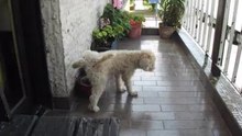 DSCF2076