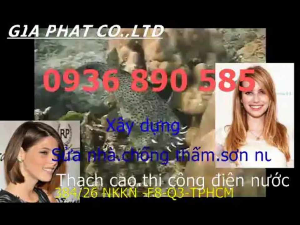 Doi son sua nha cu o tai quan tan binh HCM-sky//0936 890585