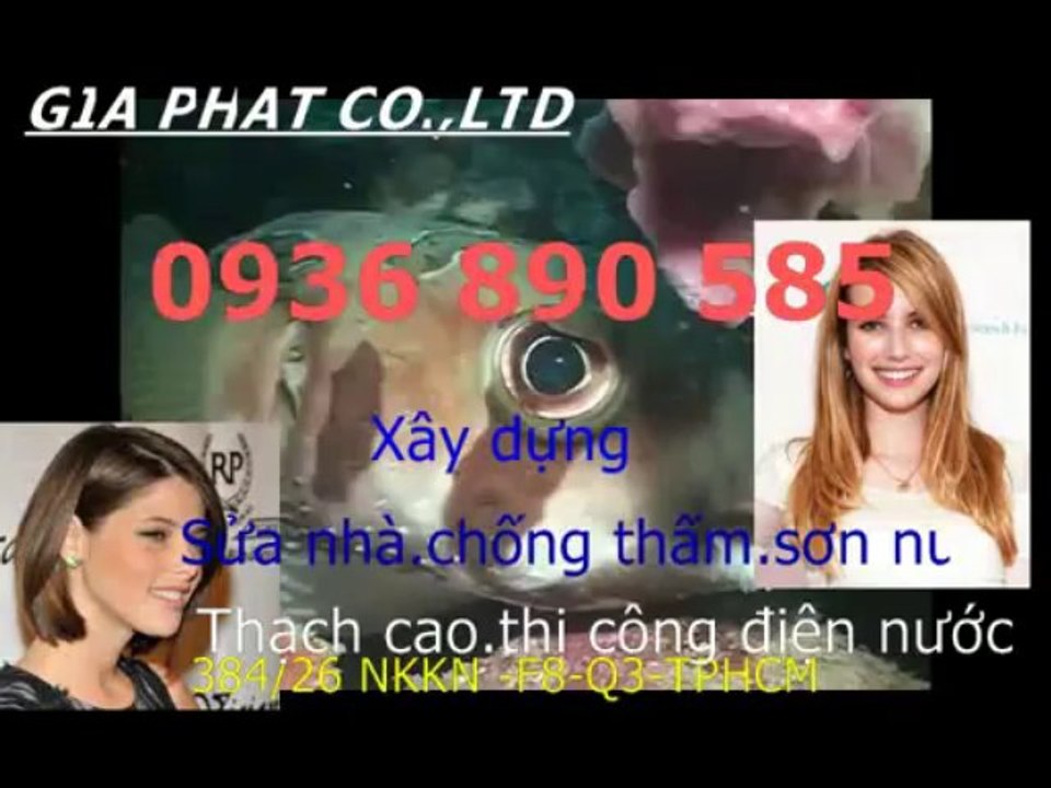 Doi son sua nha cu o tai quan phu nhuan HCM-sky//0936 890585