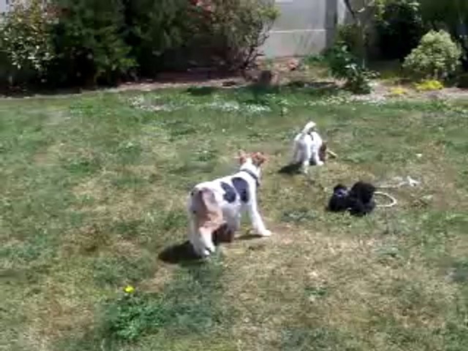 100_1846