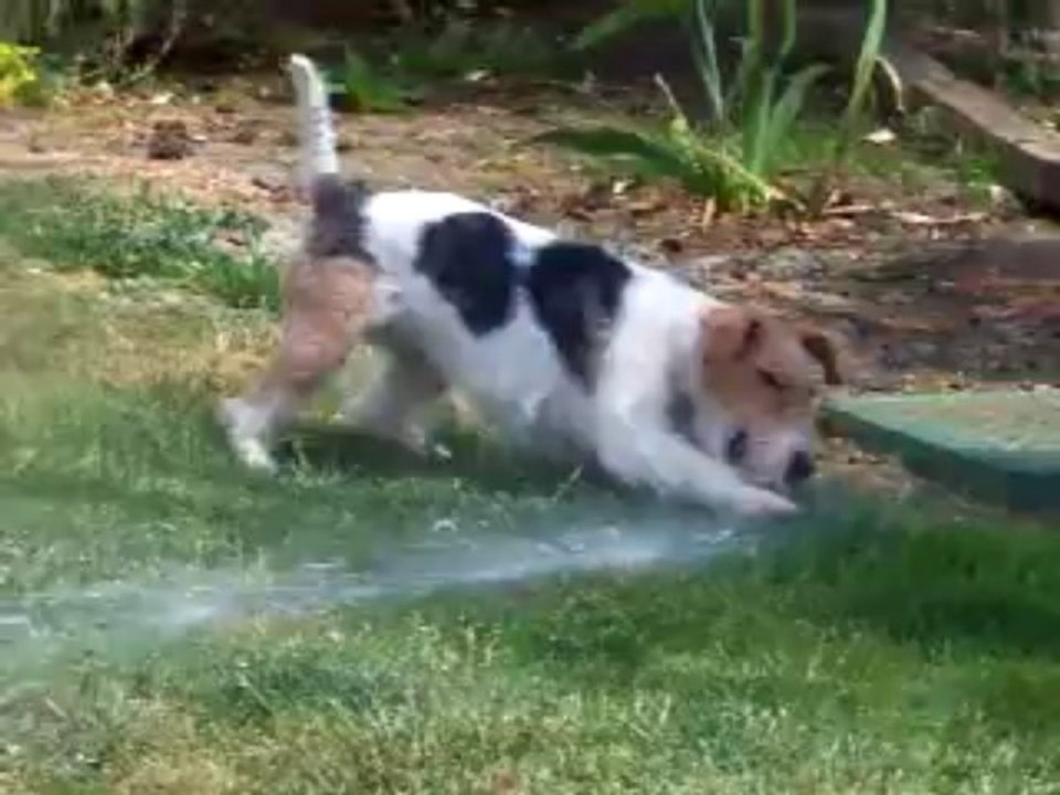 Jeux d'eau