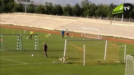 Erzurum Atatürk Üniversitesi Futbol Branş Parkuru 2012