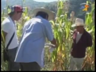 Gestión pública y rendición de cuentas