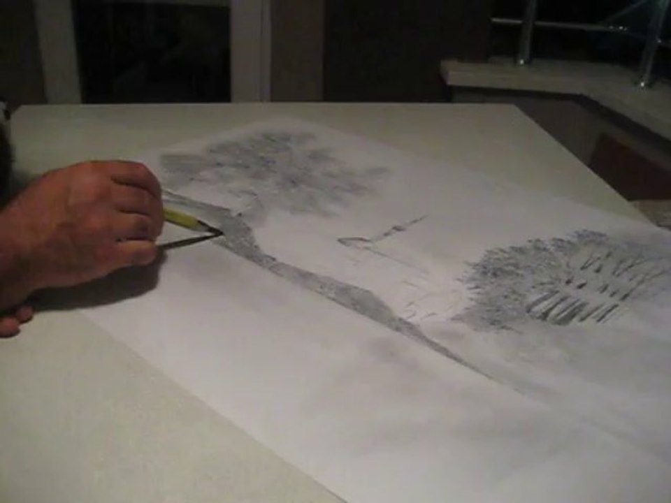 MVI_0329