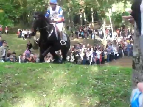 Lion d'Angers 2013 - Nicolas Touzaint
