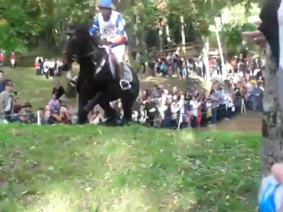 Lion d'Angers 2013 - Nicolas Touzaint