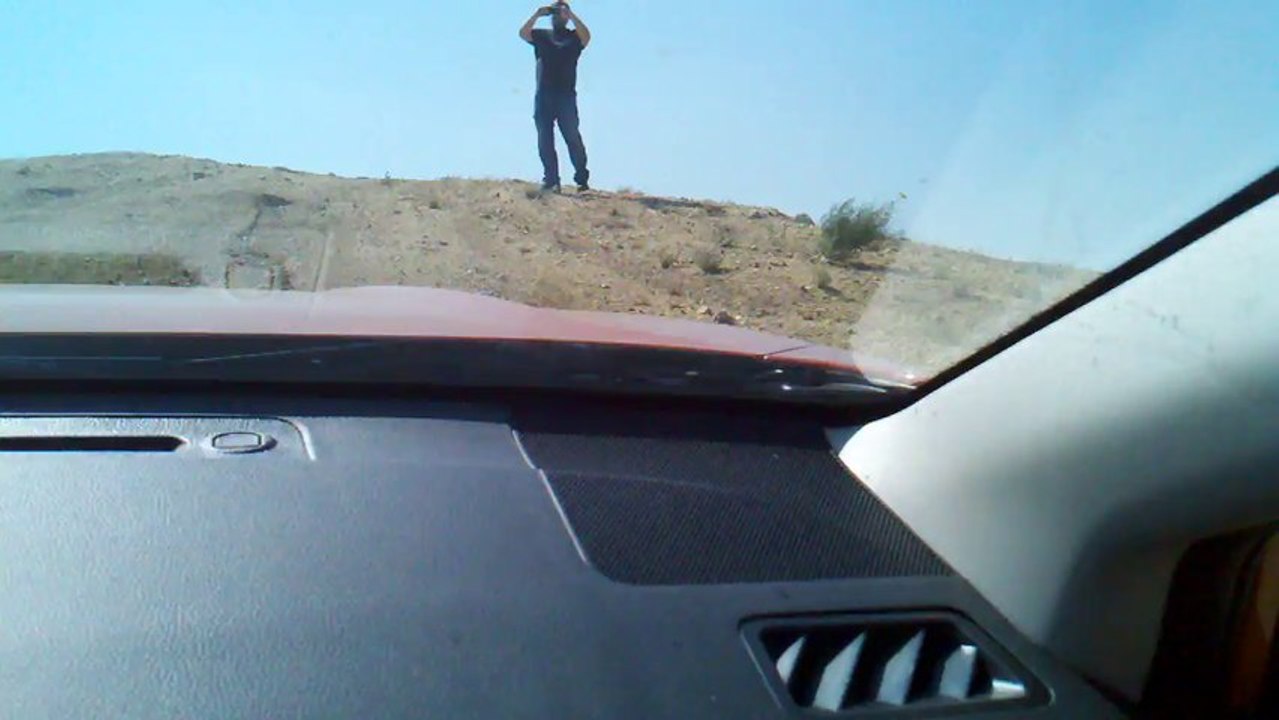 Punky climbs a hill