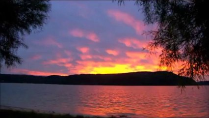 Charlie & Brax - Part 80