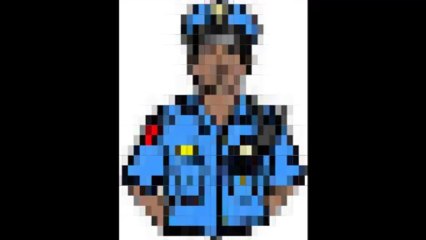 Charles Schmalzried Preventing crime