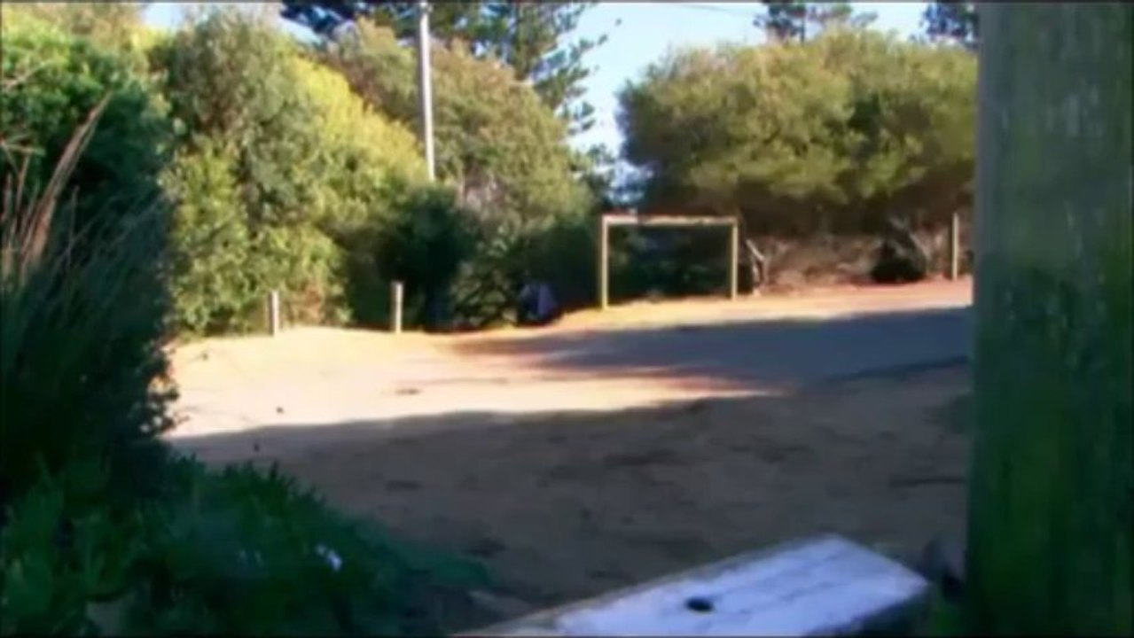 Charlie & Brax - Part 49