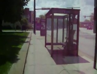 funny she screamed for the police 30 pound dog