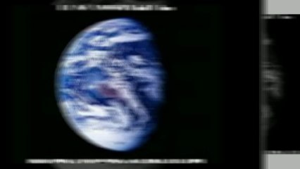 Why Homestead Survival Is Important