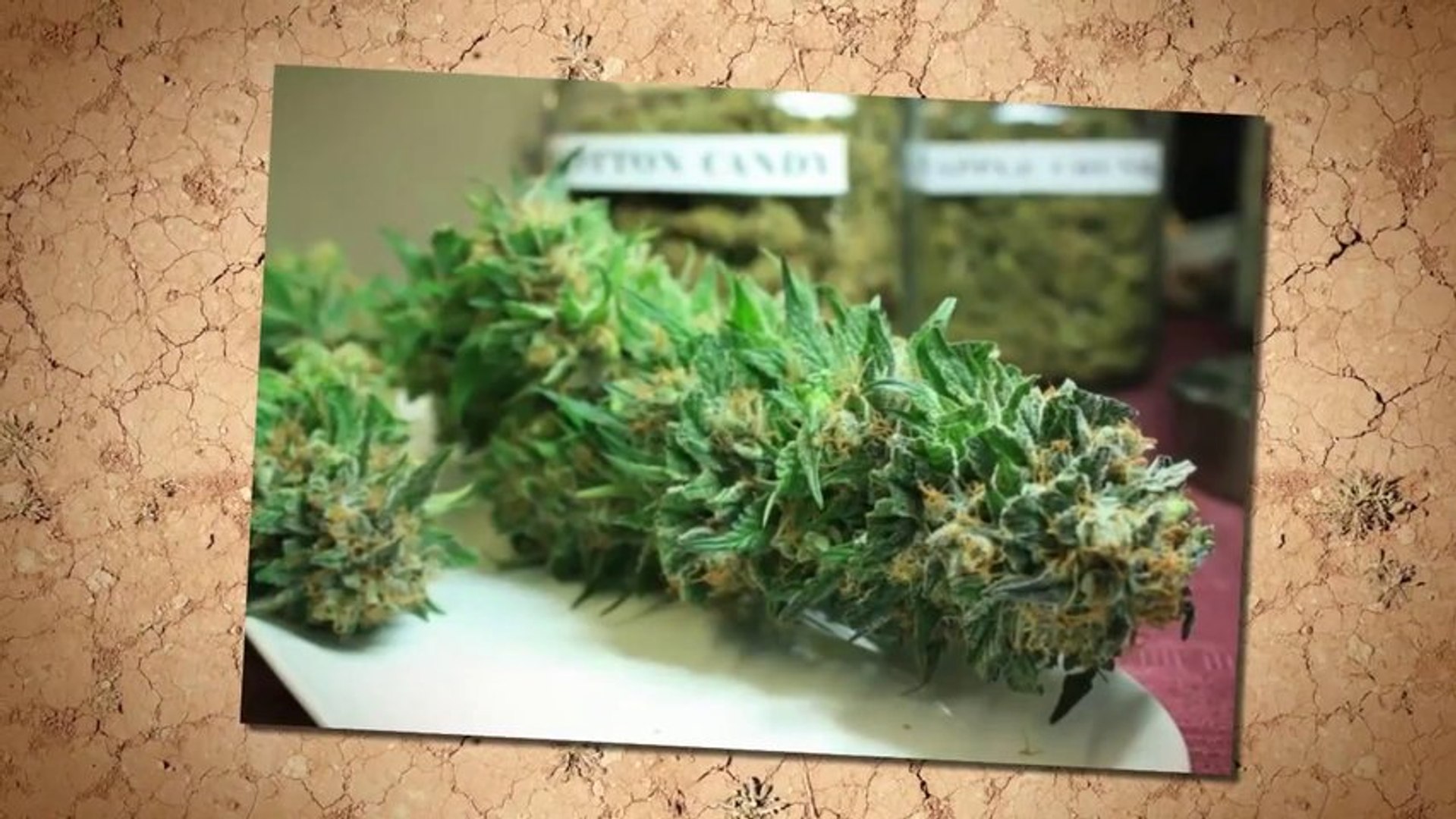 Marijuana University