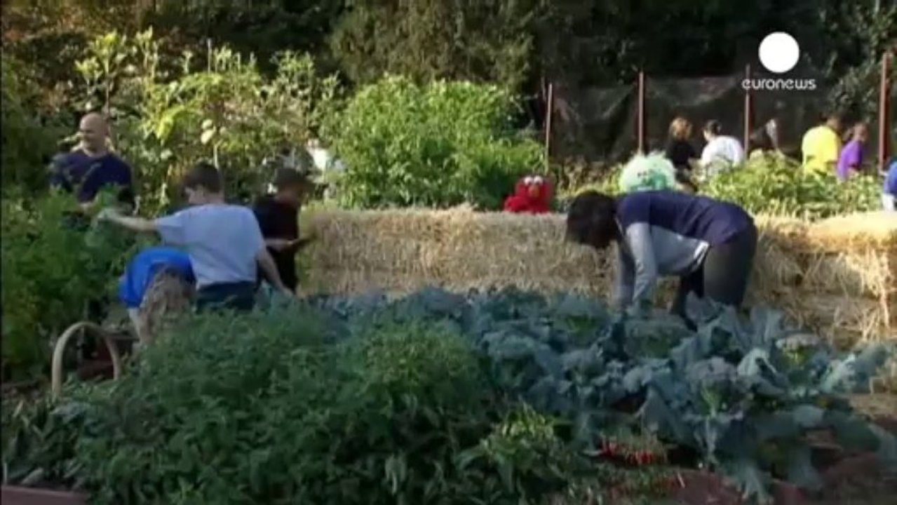 Michelle Obama e Muppets per far mangiar verdura ai baby Usa