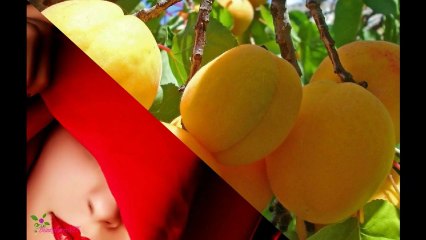 ESTEE LAUDER ახალი ნამდვილი ფერი პომადა