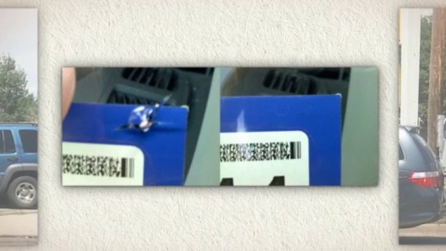 fix windshield crack & window repair car