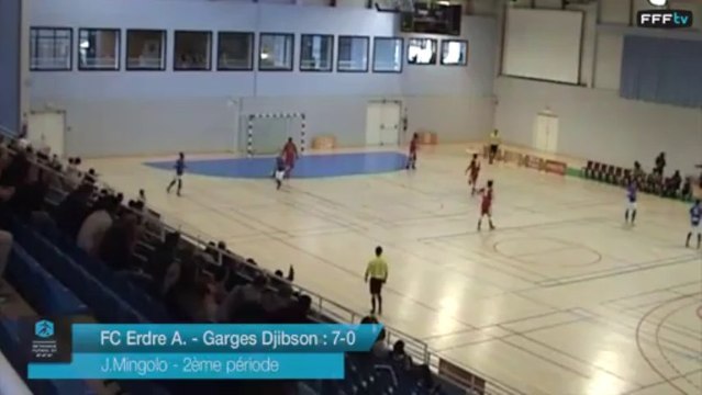 D1 Futsal - Journee 5 - Les buts