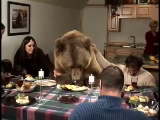 Videos Caseros: Oso sentado a la mesa familiar a la hora de la comida (tepillao.com)