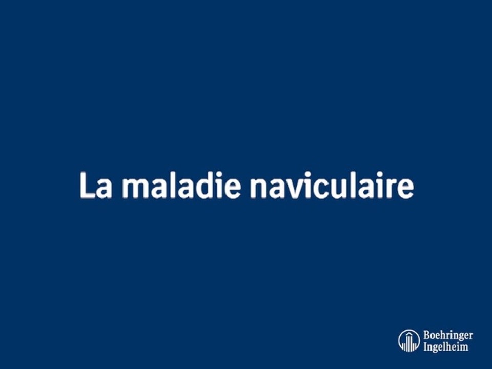 La maladie naviculaire