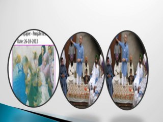 human resource development in india