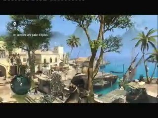 Assassin's creed IV. 4 / plantage