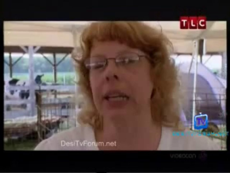 Glutton For Punishment {Goat Milking Competition} 31st Octoberp