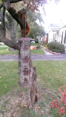 Charlotte received a helping hand