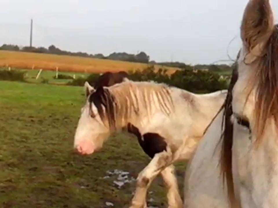 Mystic le 31/10 matin