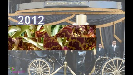 LADY GAGA Fame სუნამო სპრეი