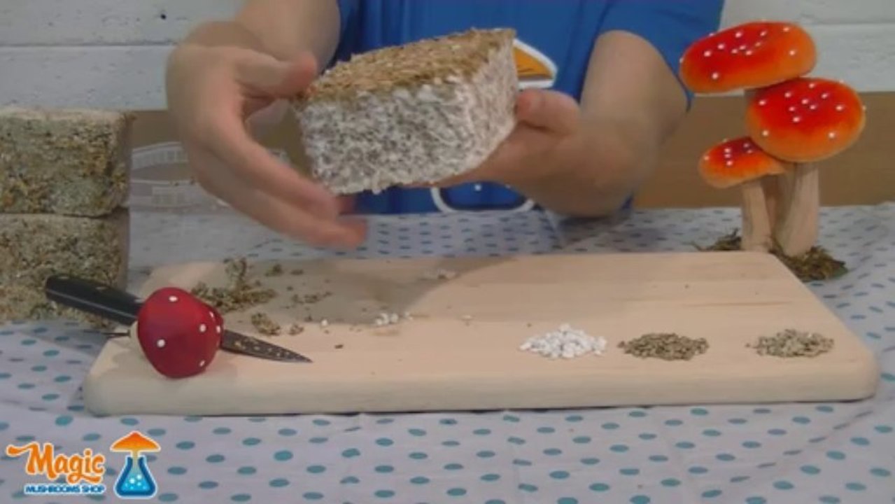 100% VS Standard Magic Mushroom Grow Kit
