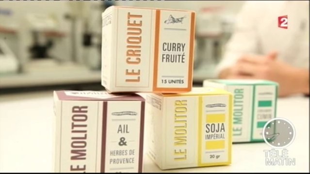 Jimini's : les insectes apéritifs