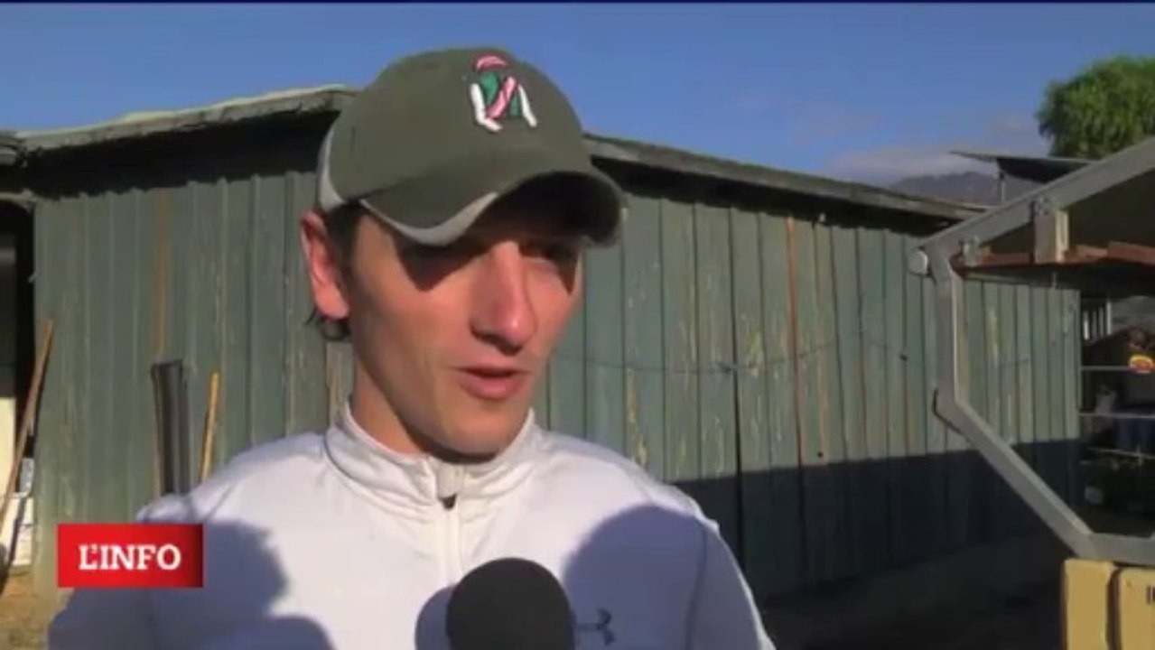 BREEDERS CUP 2013 - RODOLPHE BRISSET - ROYAL DELTA - Distaff