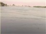 تلوث مياه نهر الفرات بسوريا