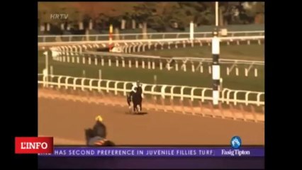 BREEDERS CUP 2013 - RODOLPHE BRISSET - CLOSE HATCHES - Distaff