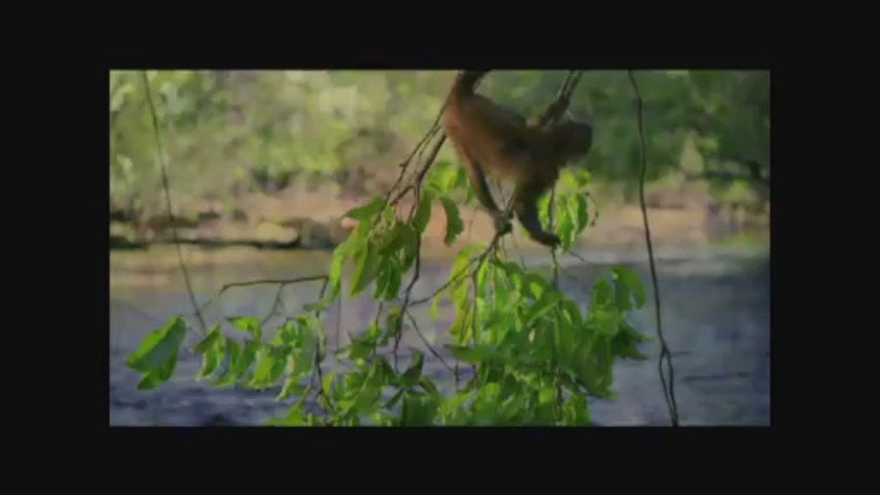 AMAZONIA - Bande-annonce VF